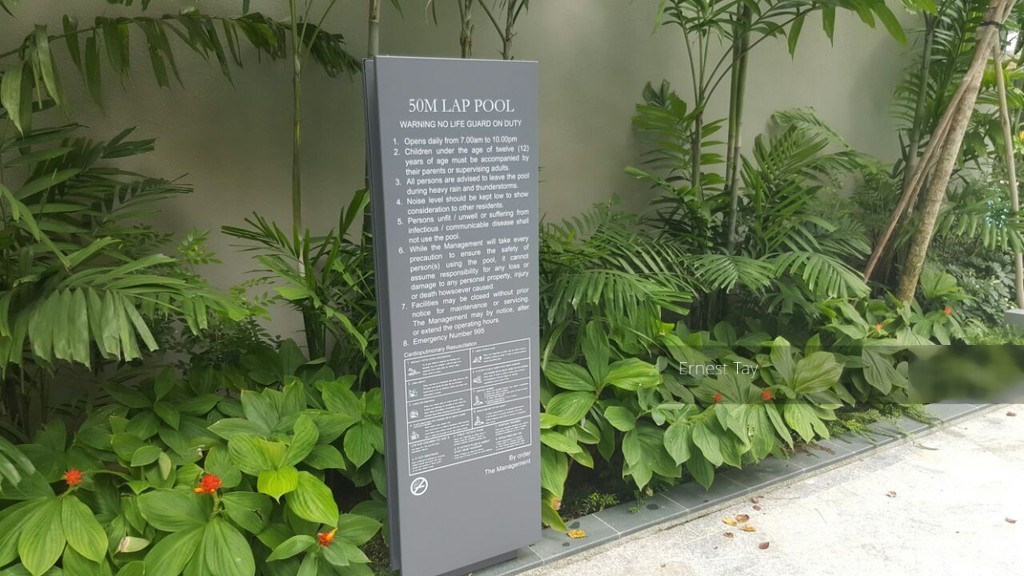 Seventy Saint Patrick's (D15), Condominium #139449662